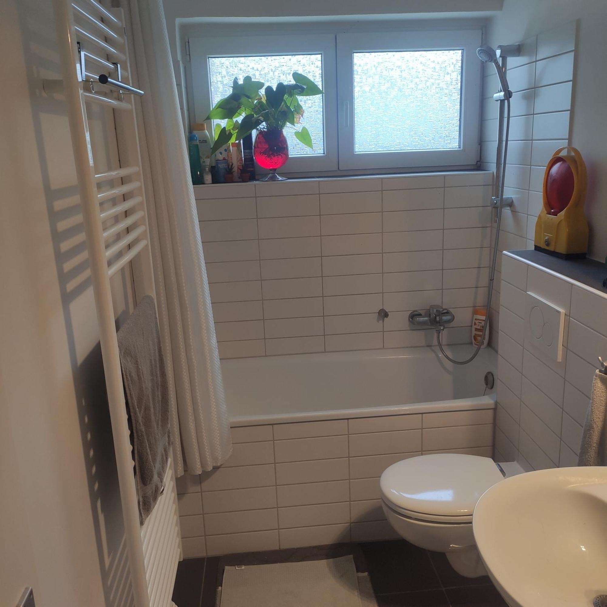 Bequeme Wg-schlafcouch Fuer 2 In Rheinnaehe * Köln